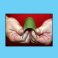 Green Soft Flex Squeegee
